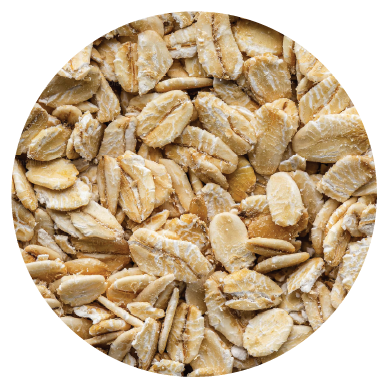Fiber and Prebiotics