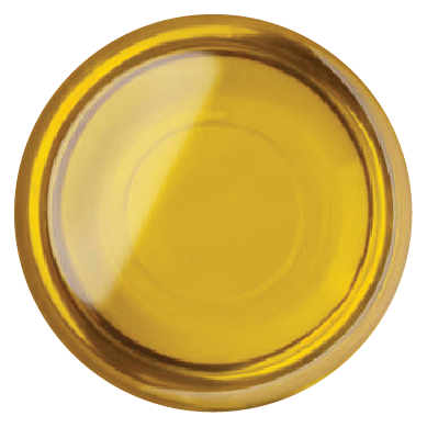 Omega 3 Fatty Acids